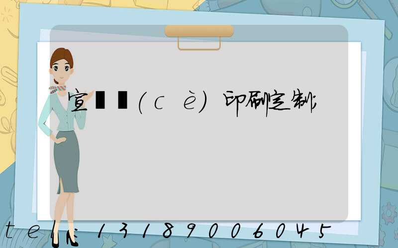 宣傳冊(cè)印刷定制