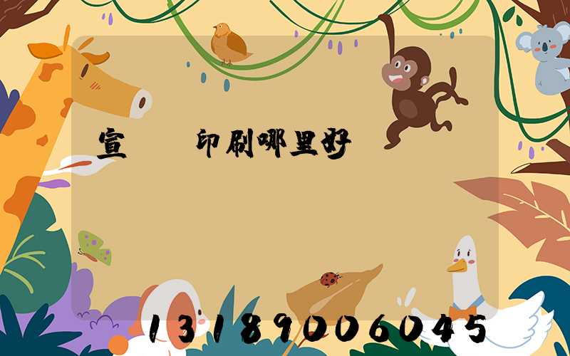 宣傳冊印刷哪里好