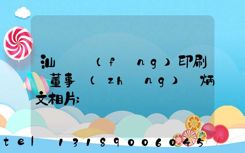 汕頭東風(fēng)印刷廠董事長(zhǎng)黃炳文相片