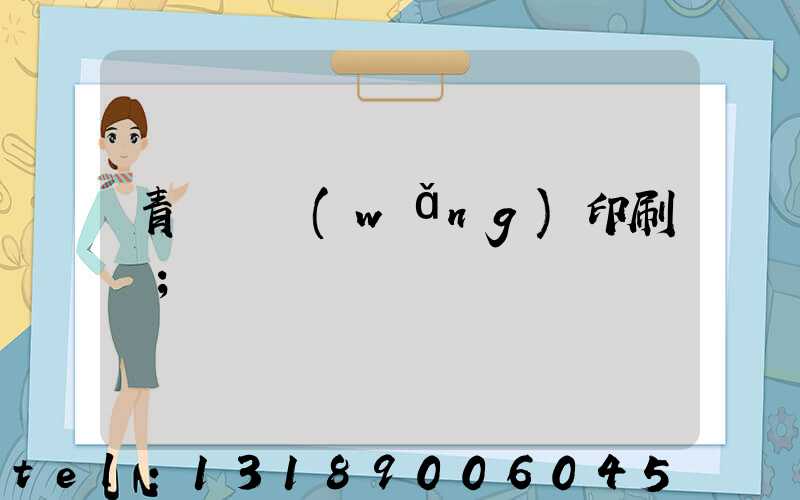 青島絲網(wǎng)印刷廠